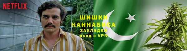 твердый Корсаков