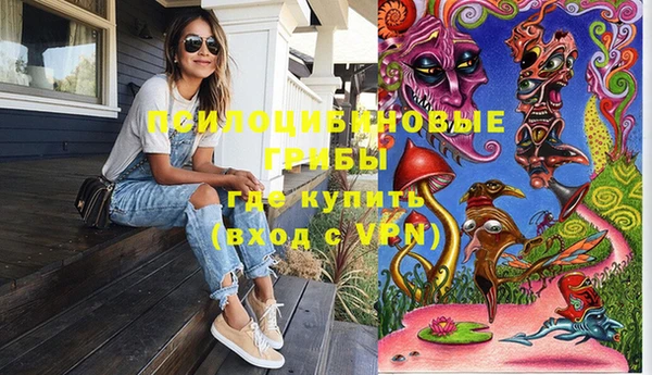 твердый Корсаков
