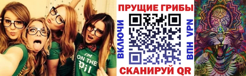 наркошоп  Шимановск  Галлюциногенные грибы Psilocybe 